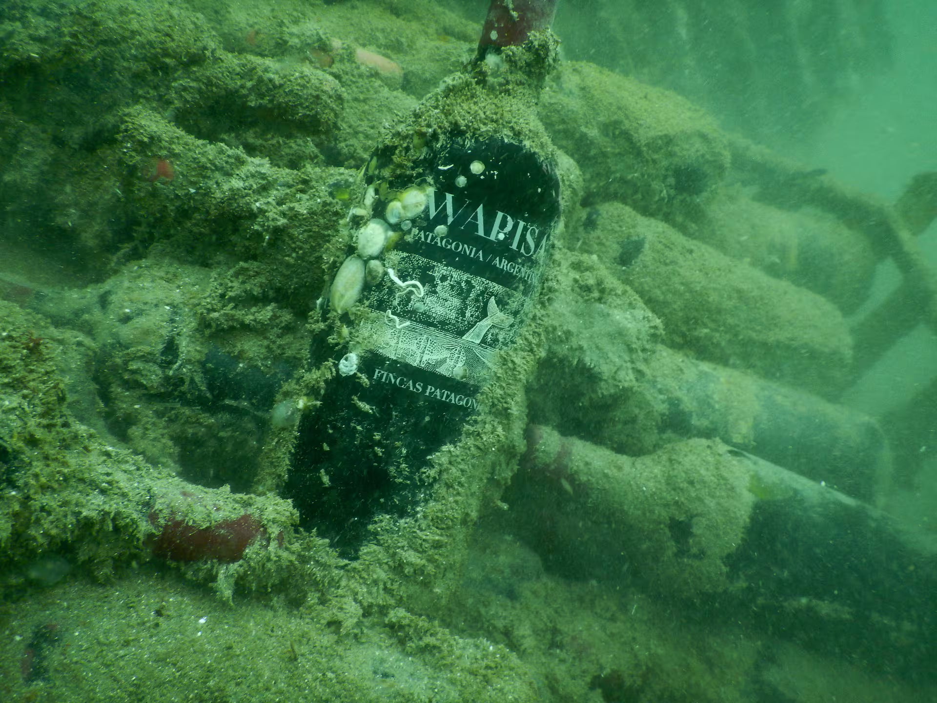 WAPISA UNDER WATER CABERNET SAUVIGNON 750 ML